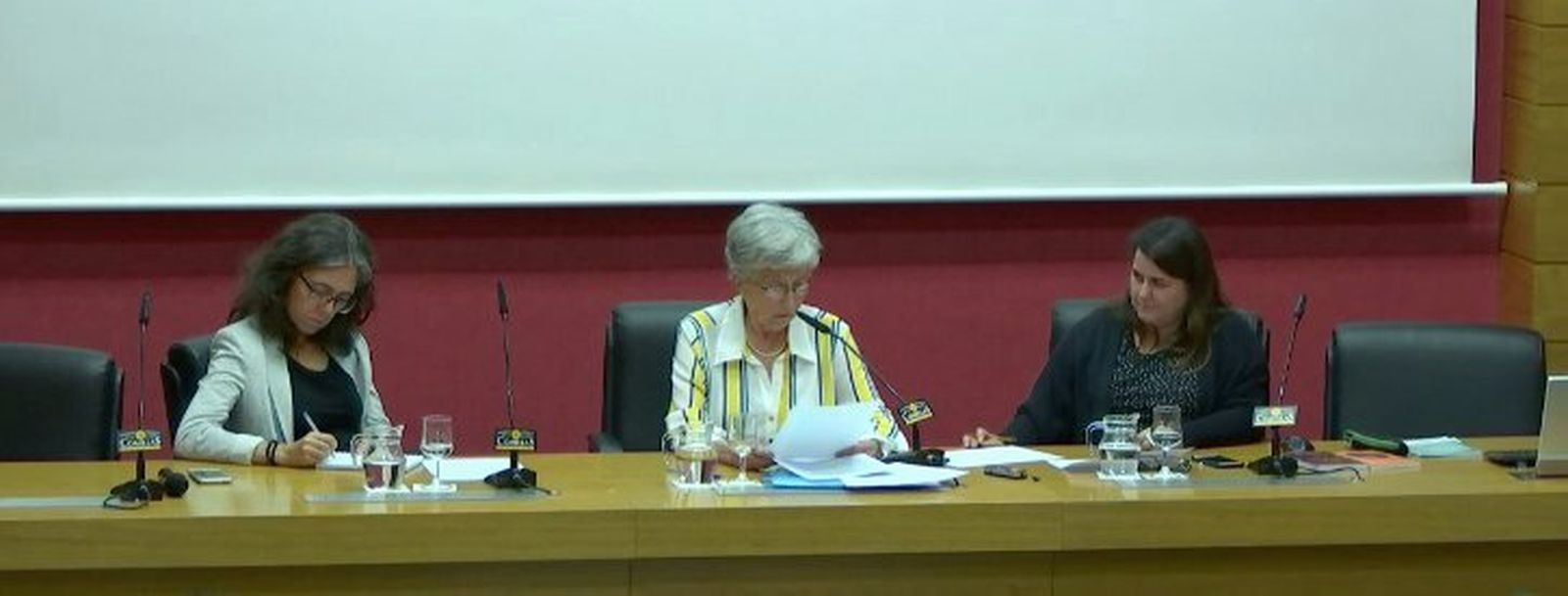 Conferencia de Ivone Gebara en Comillas