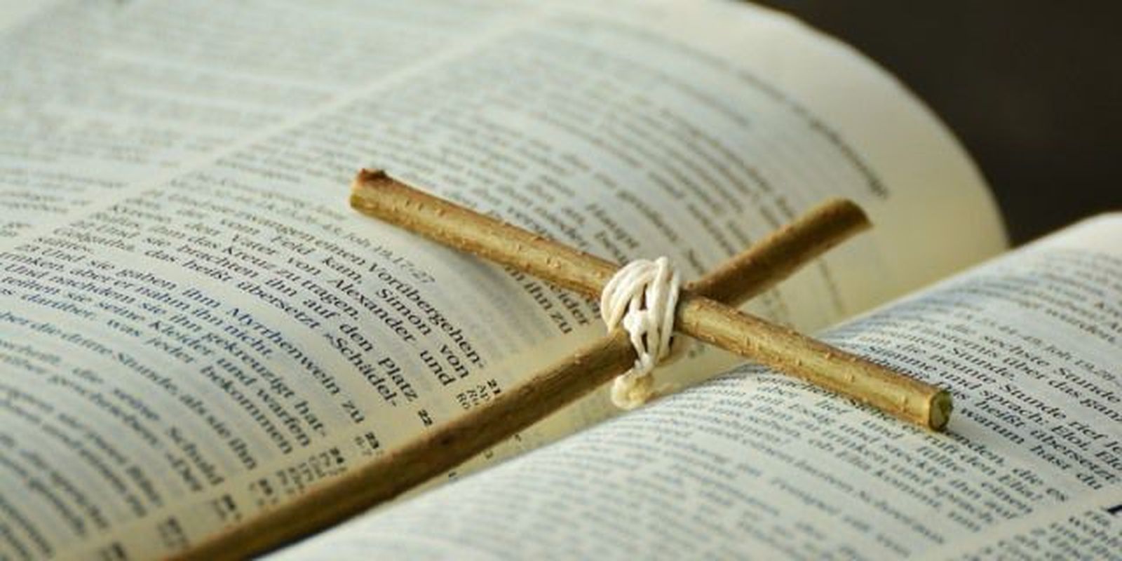 Una semana para descubrir la "inagotable fuente de sentido" de la Biblia.