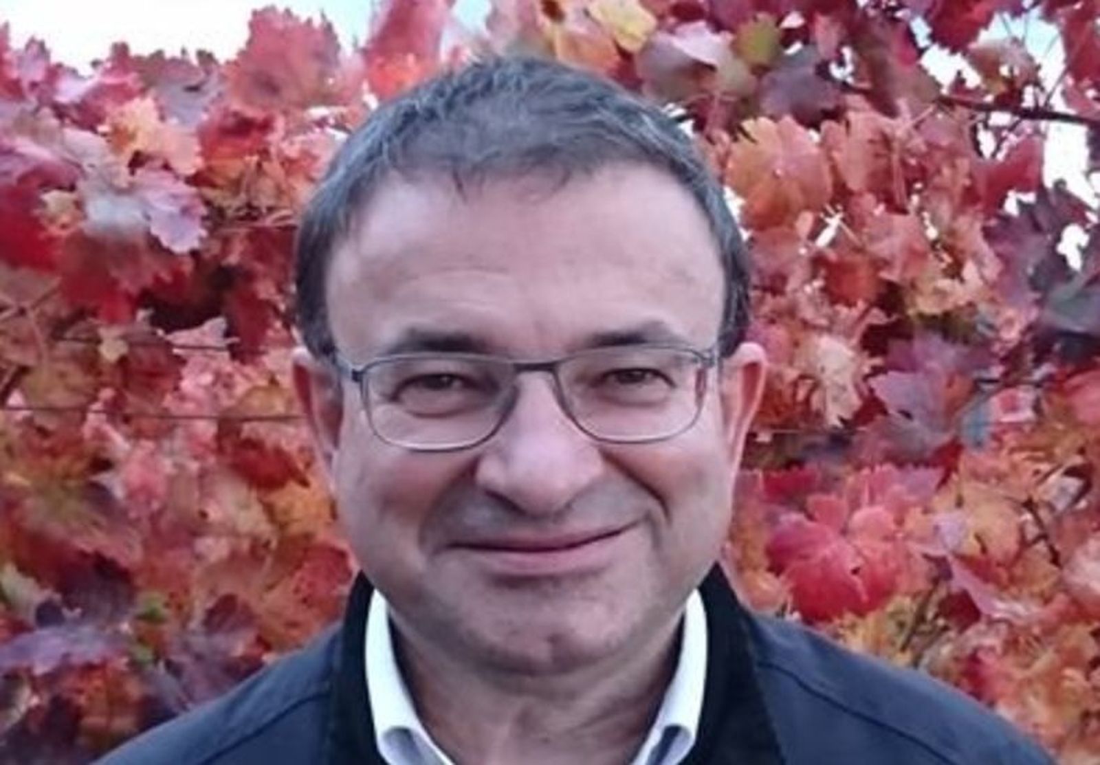 Carlos García de Andoin