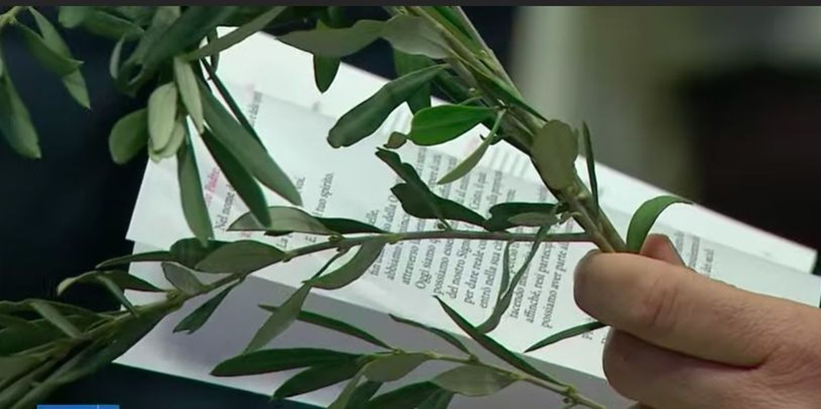 Bendición de las palmas