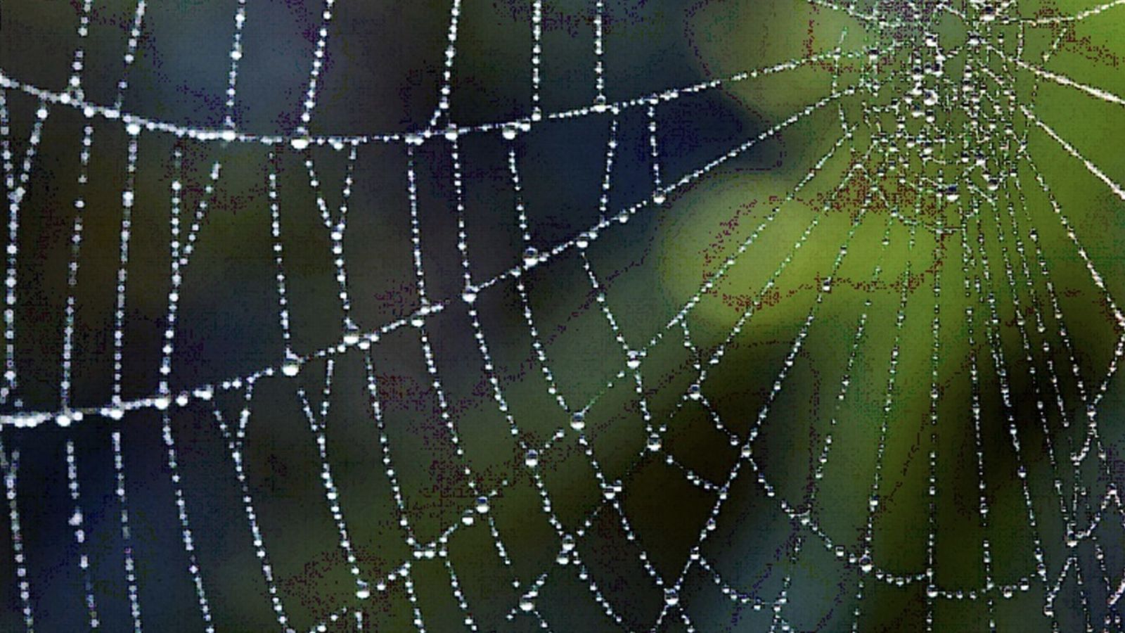 Todo está conectado