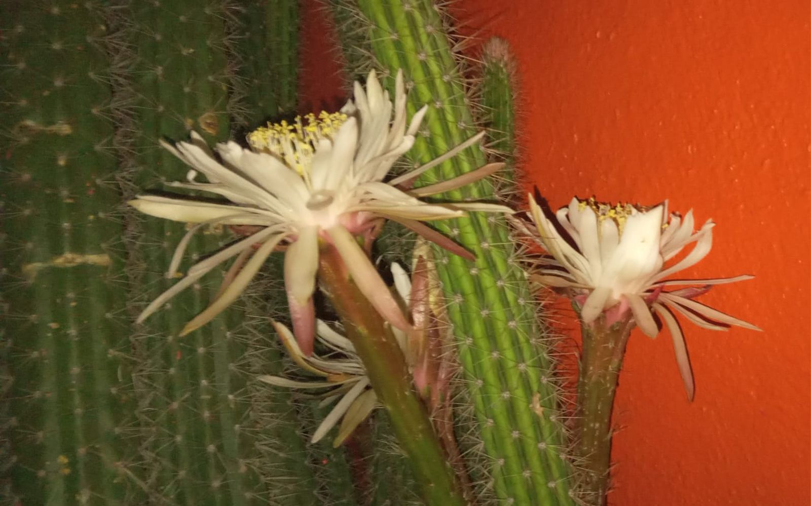 PHOTO-2024-05-10-02-33-12 3