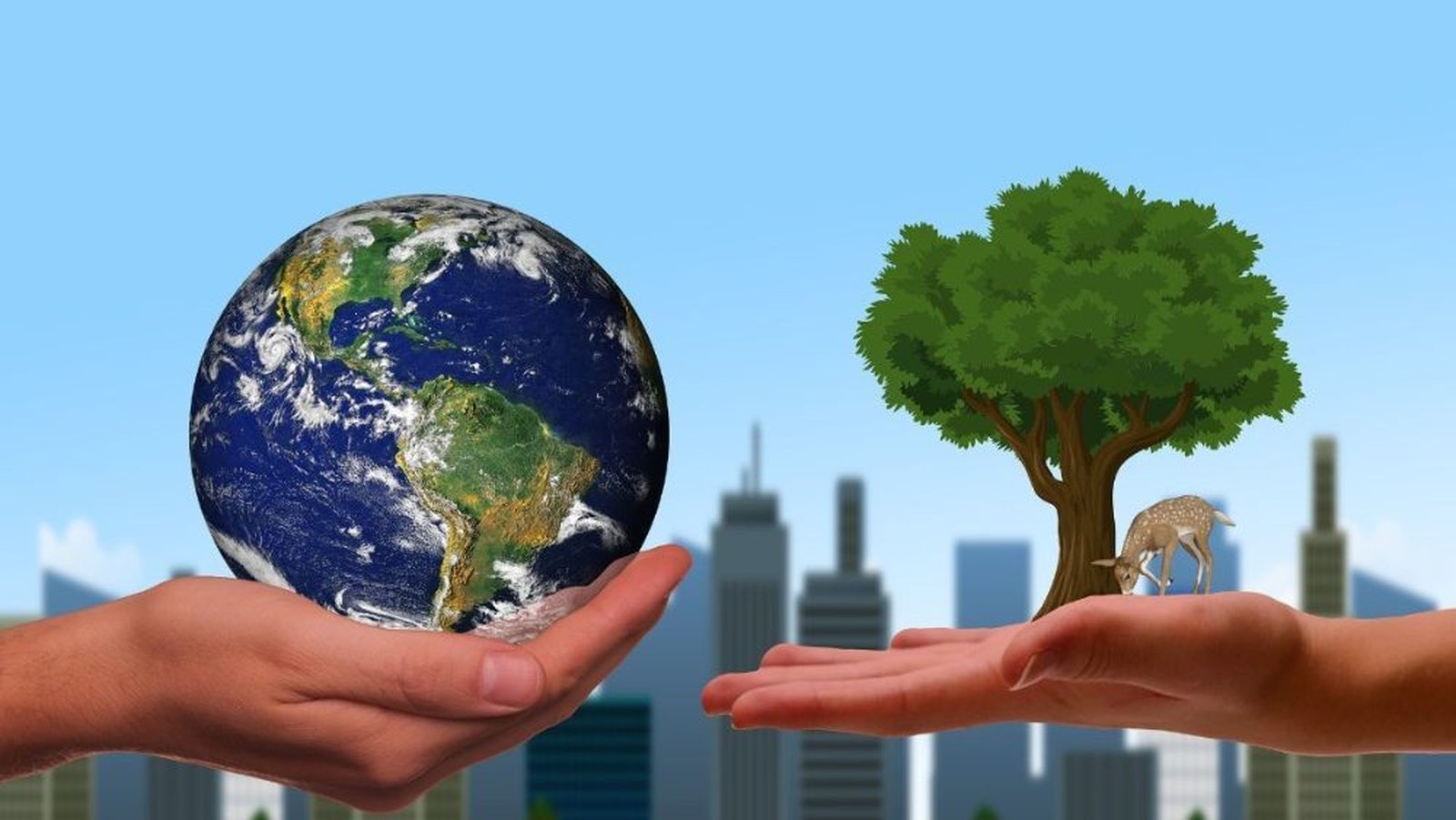 Renovar energías: llega el nuevo monográfico de la  Revista Humanizar