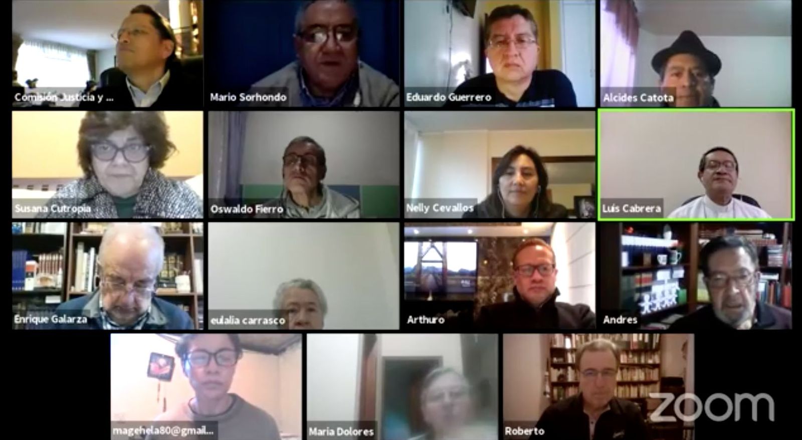 Espectadores en el conversatorio virtual