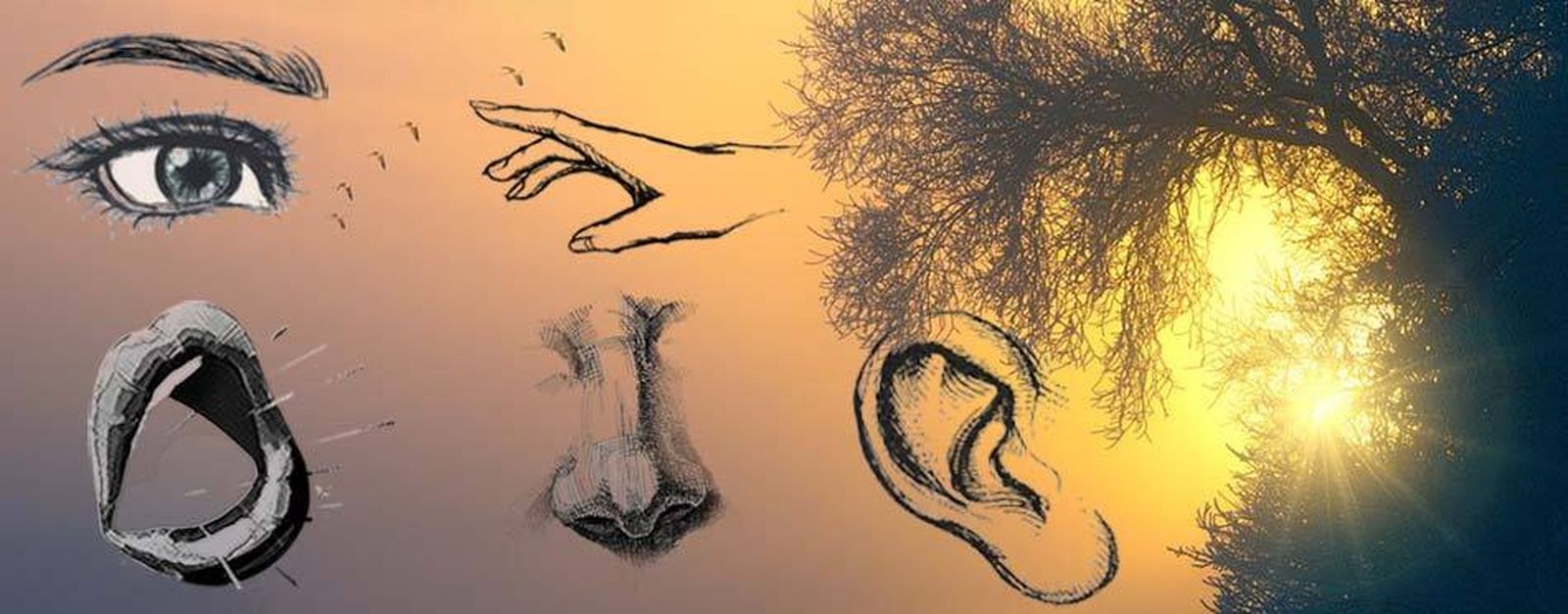 Una espiritualidad de los sentidos: una provocación inicial