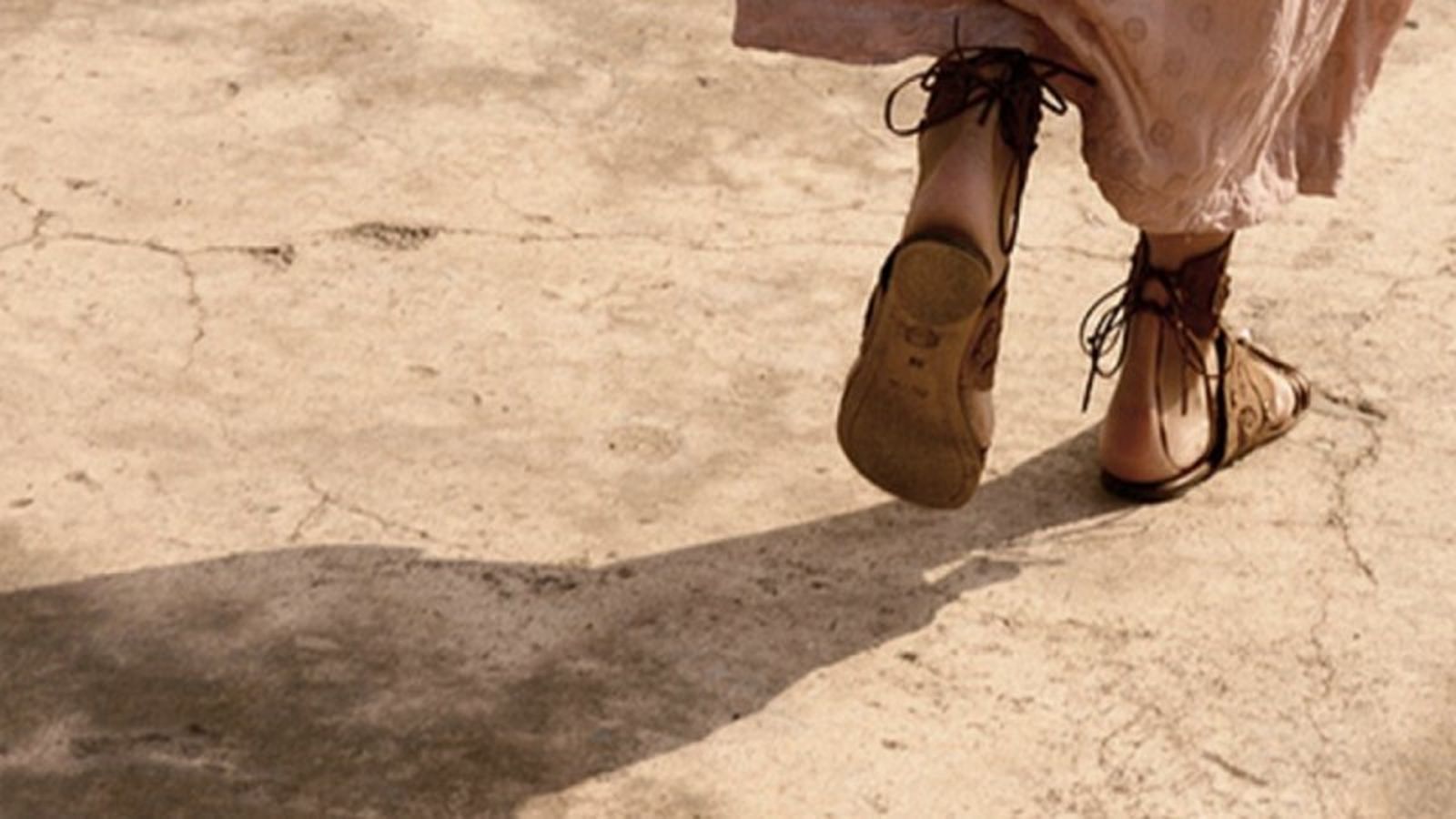 Predicar la Buena Noticia del Reino con constancia y generosidad