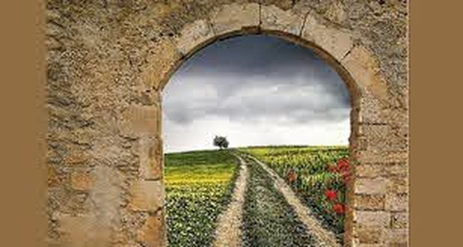 Caminar hacia la esperanza…