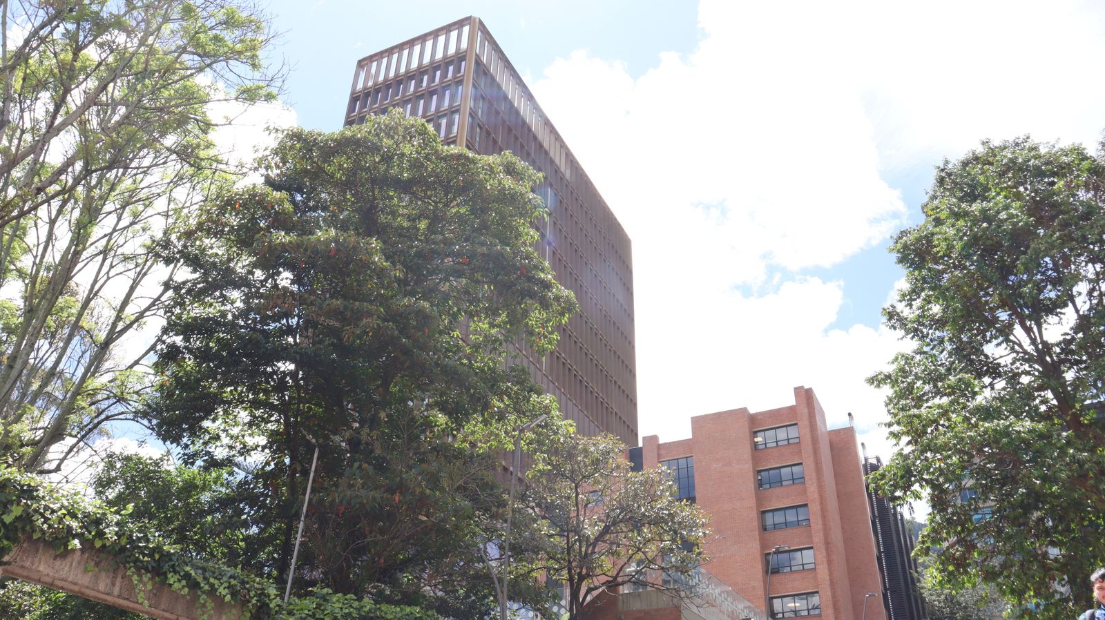 Búsquedas espirituales juveniles