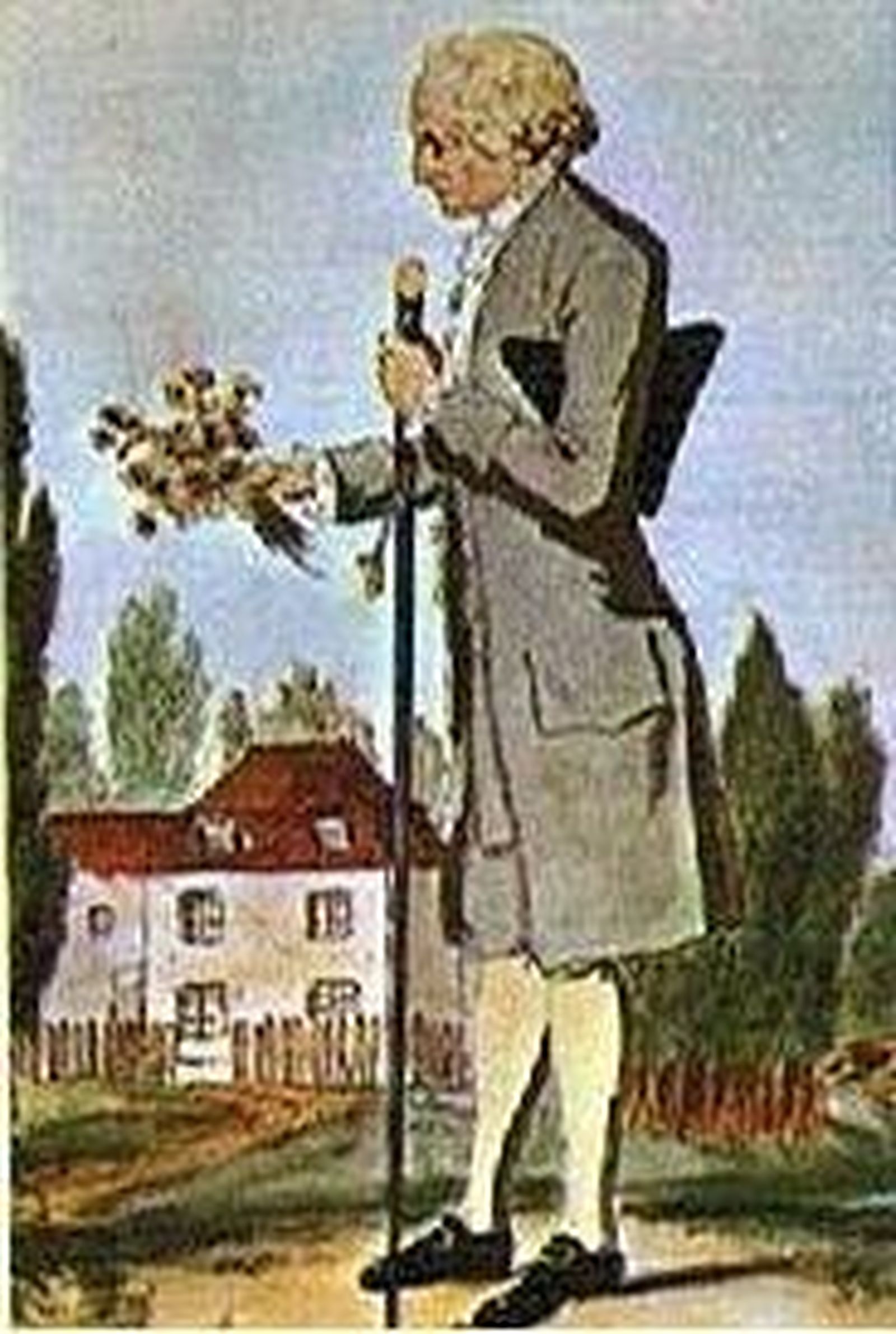 La democracia en Rouseau II