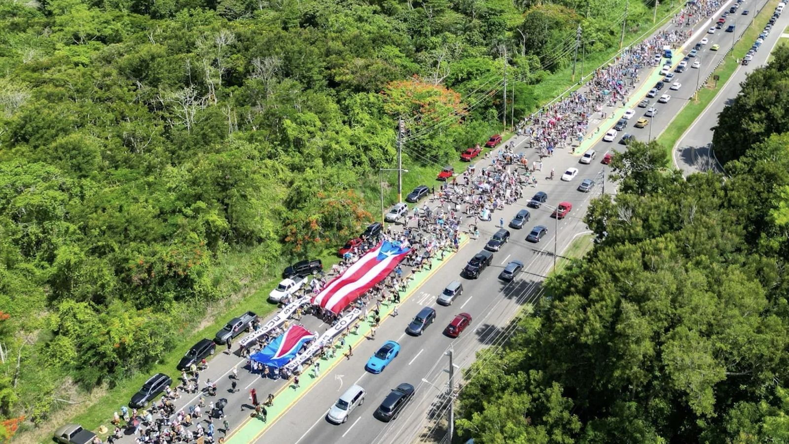 Vista de la manifestación