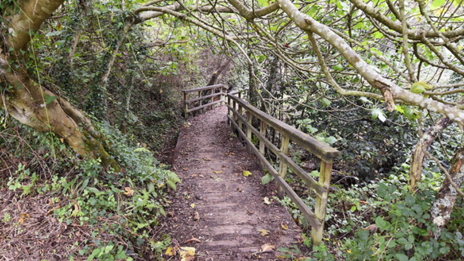 San Juan de Esmelle- Ferrol