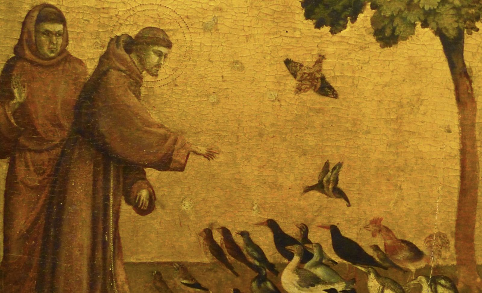 Cántico de las Criaturas