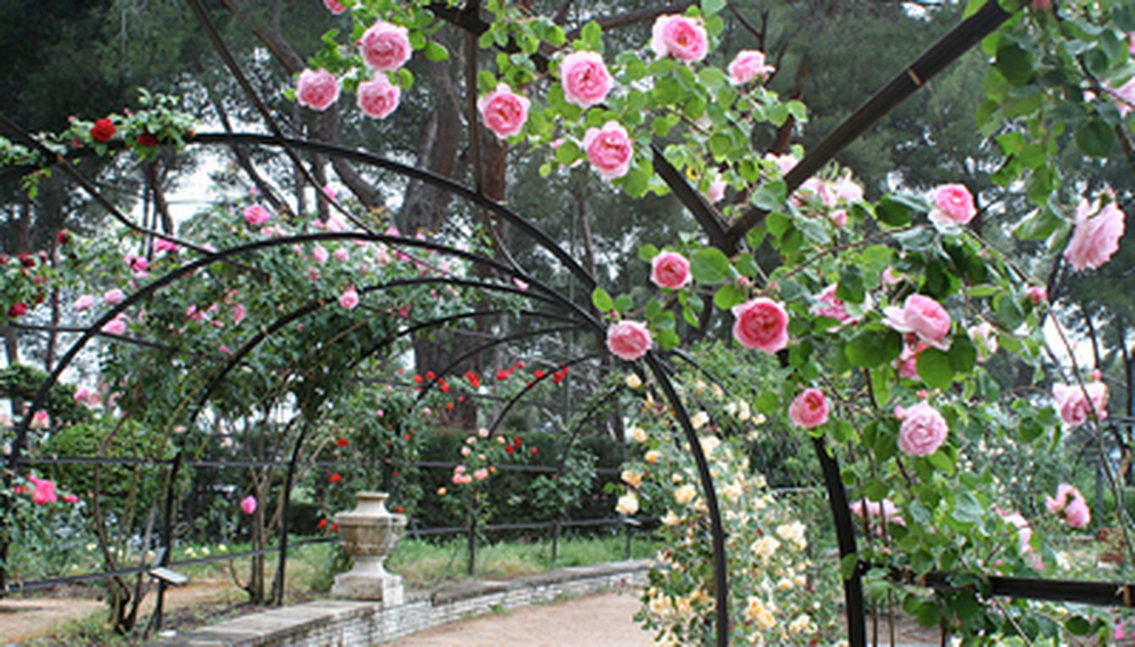 Versos que BUSCAN A DIOS y3