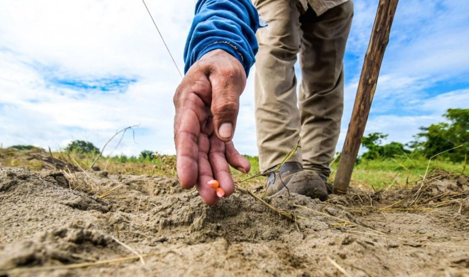 Sin suelo no podemos vivir