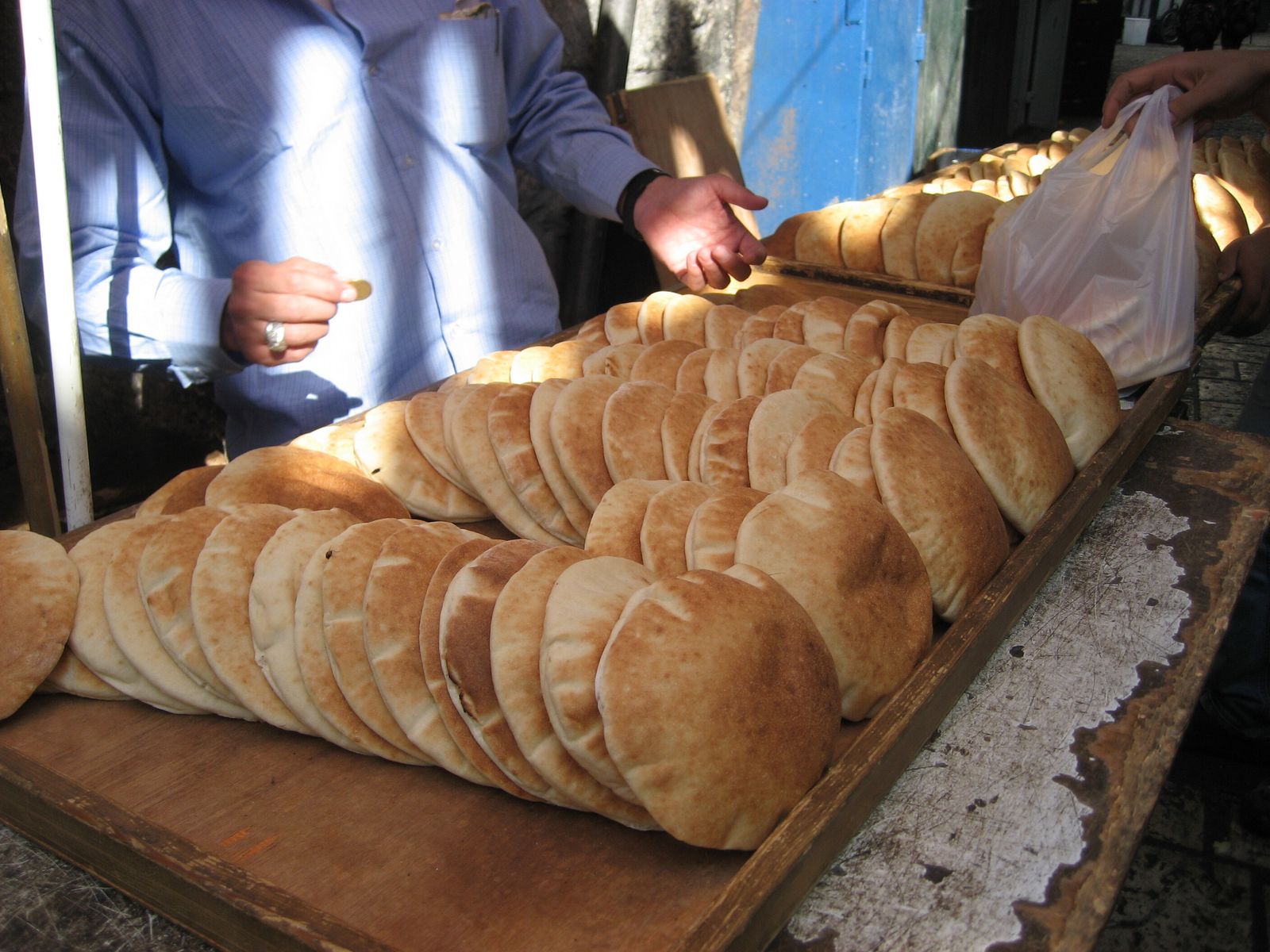 XVIII Domingo del Tiempo Ordiario "B"