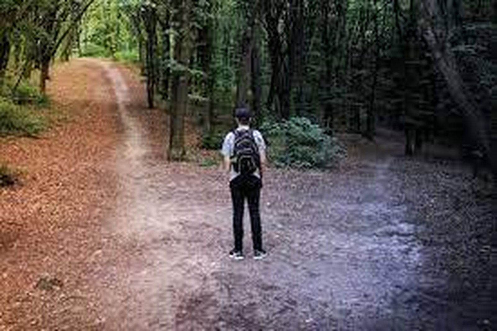 Adviento: El sabor a ir de camino