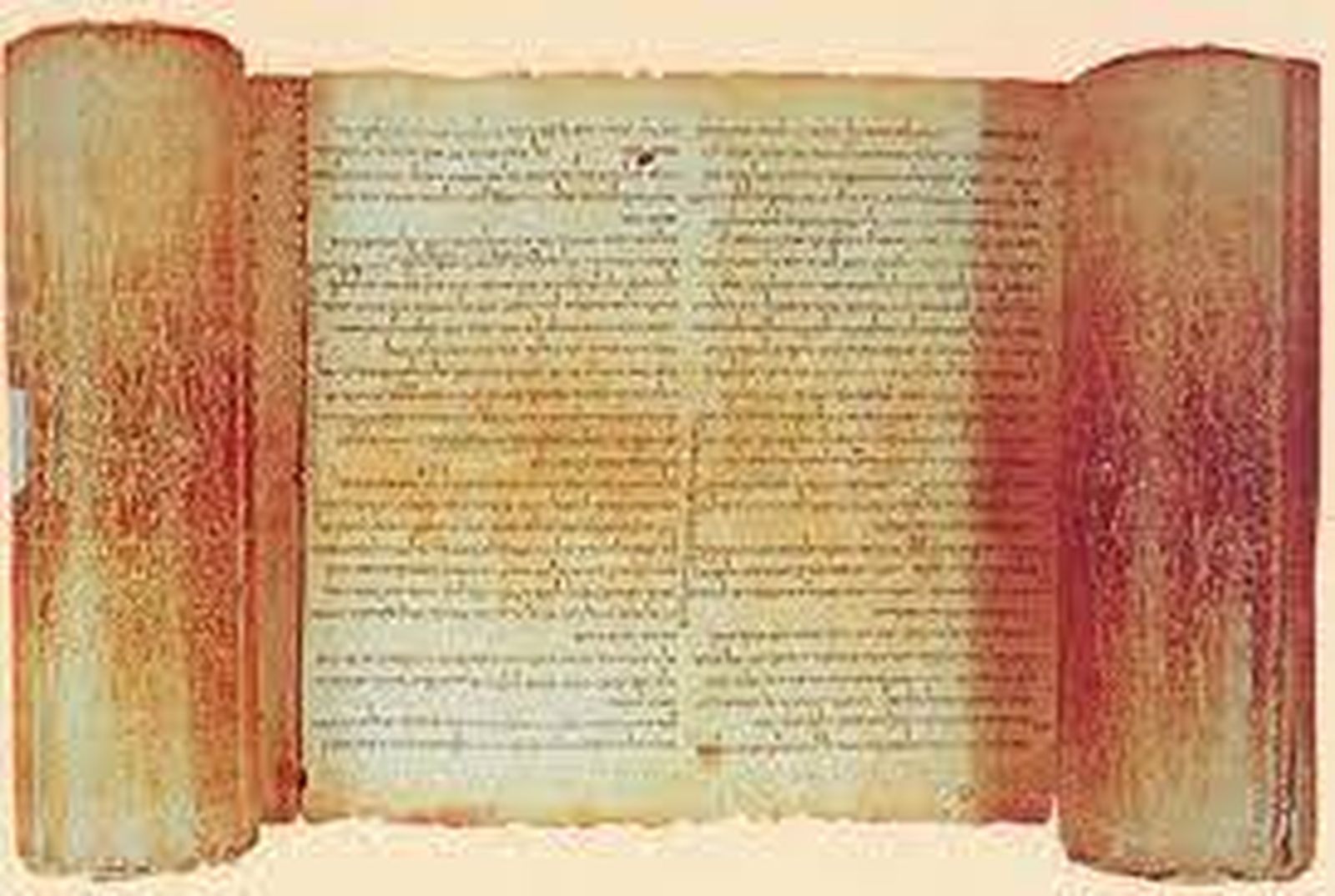 ¿Qué leemos en el texto de los evangelios?