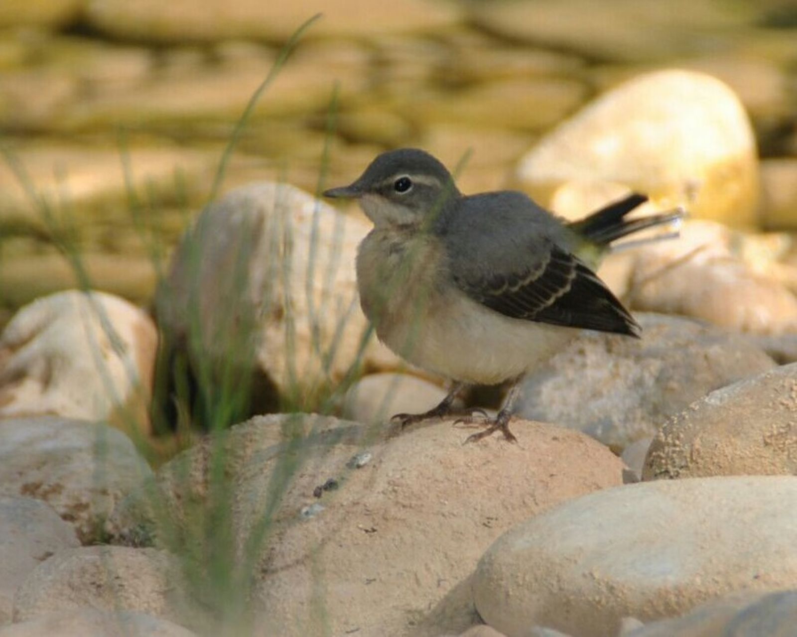 V Miércoles de Cuaresma