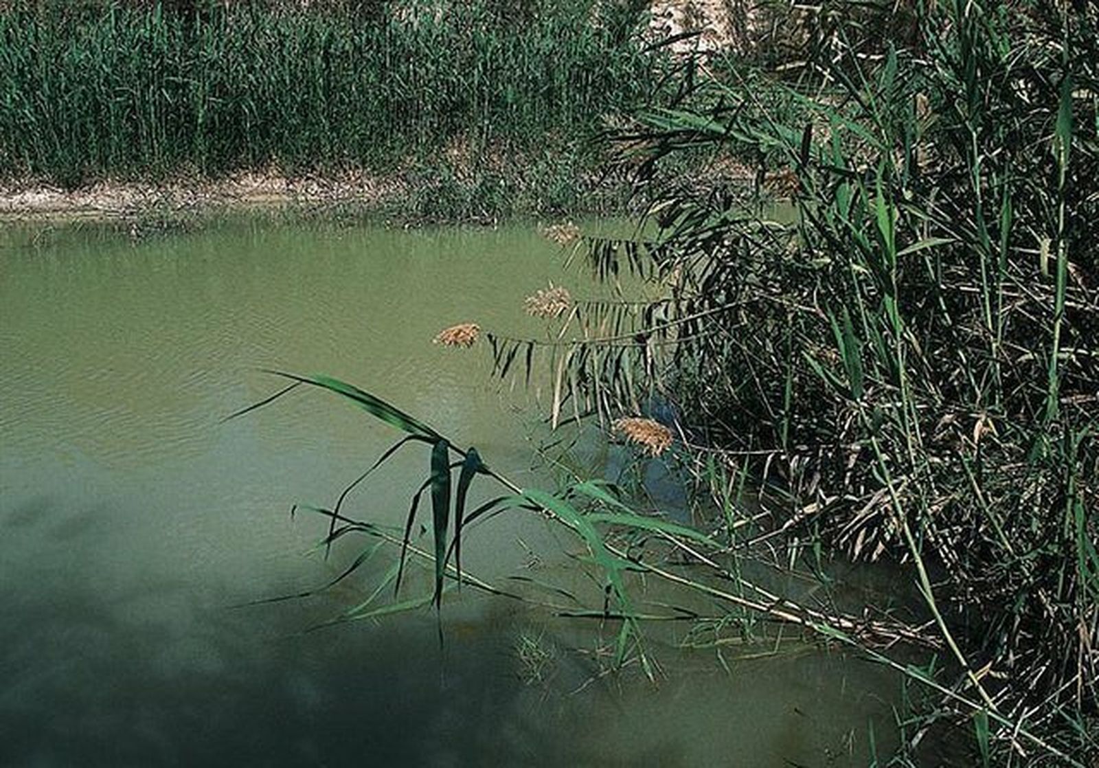 Aguas del Río Jordán