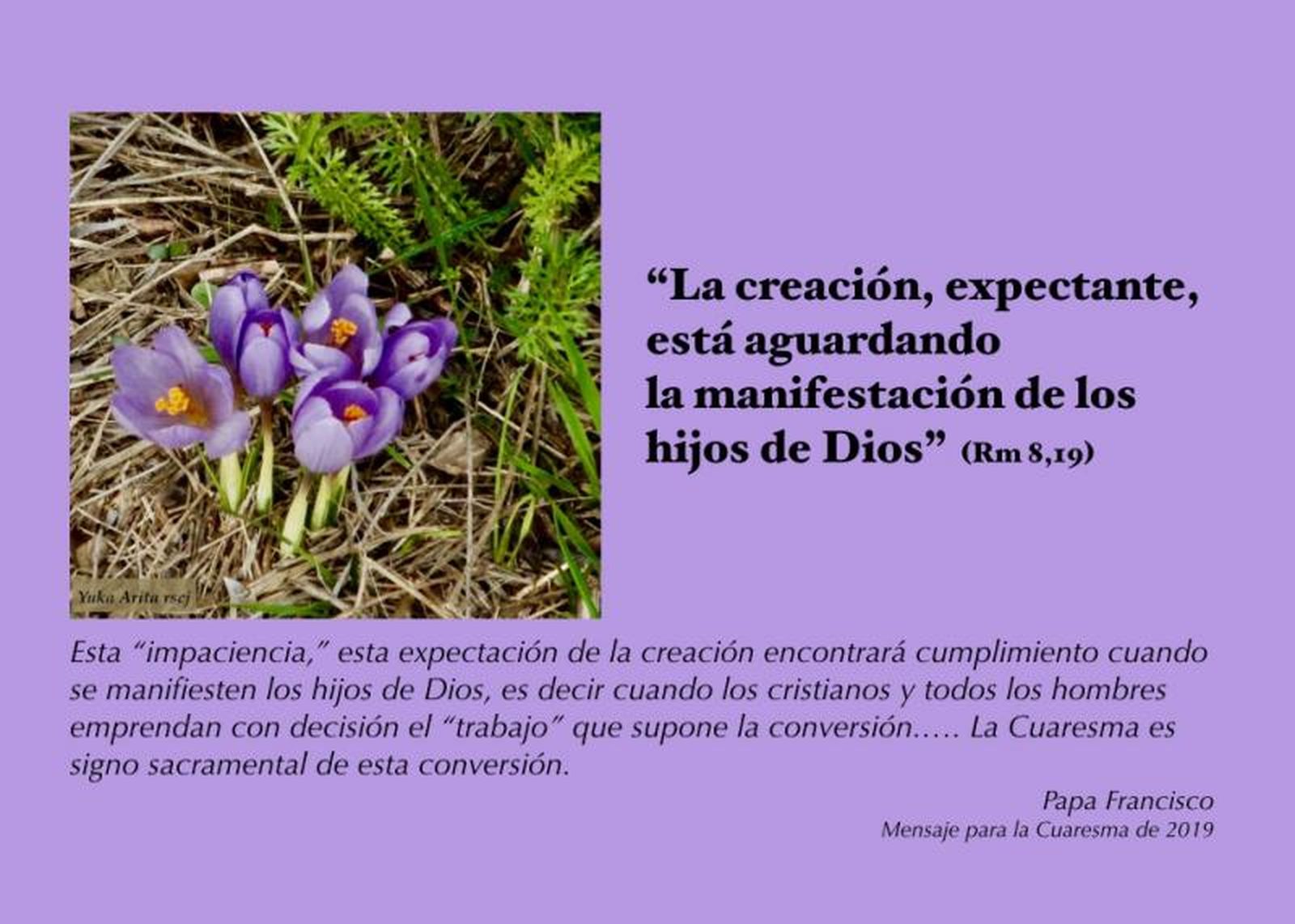 Lo ha dicho el papa Francisco