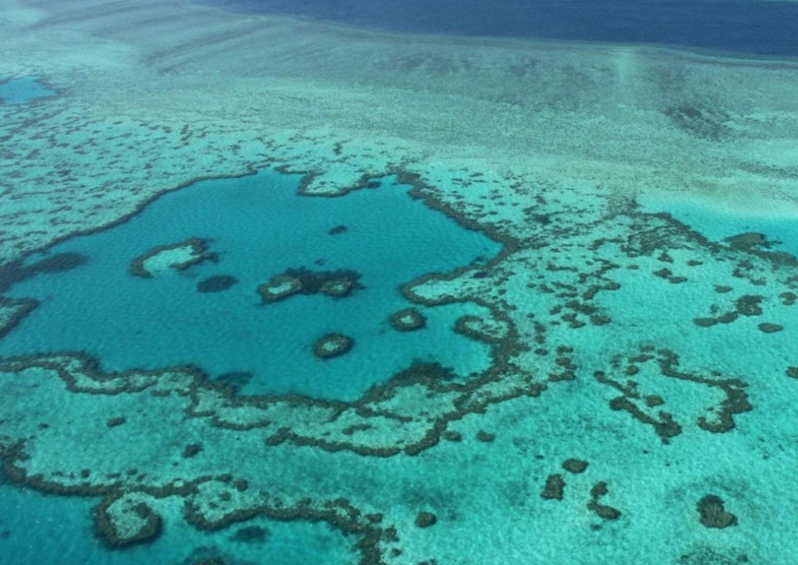 Sostenibilidad de mares y océanos