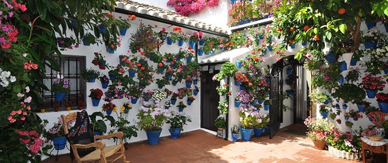 patios_listado_cabecera