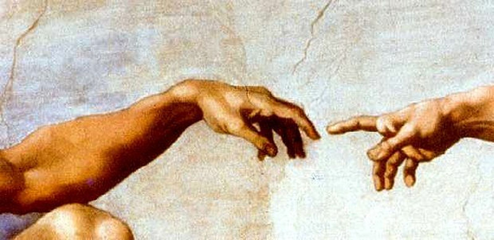 Formación Bíblica y Compromiso Social a distancia