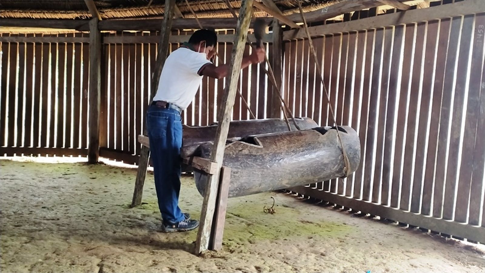 El manguaré en Sabaloyacu