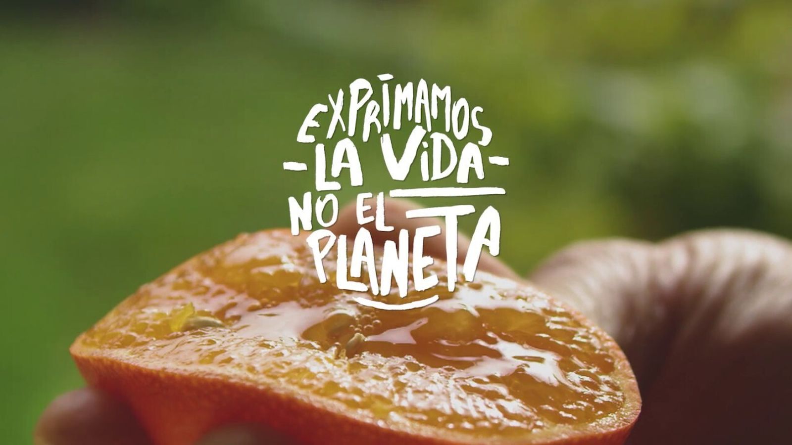 Francisco: "Estamos exprimiendo los bienes del planeta. Exprimiéndolos, como si fuera una naranja”.