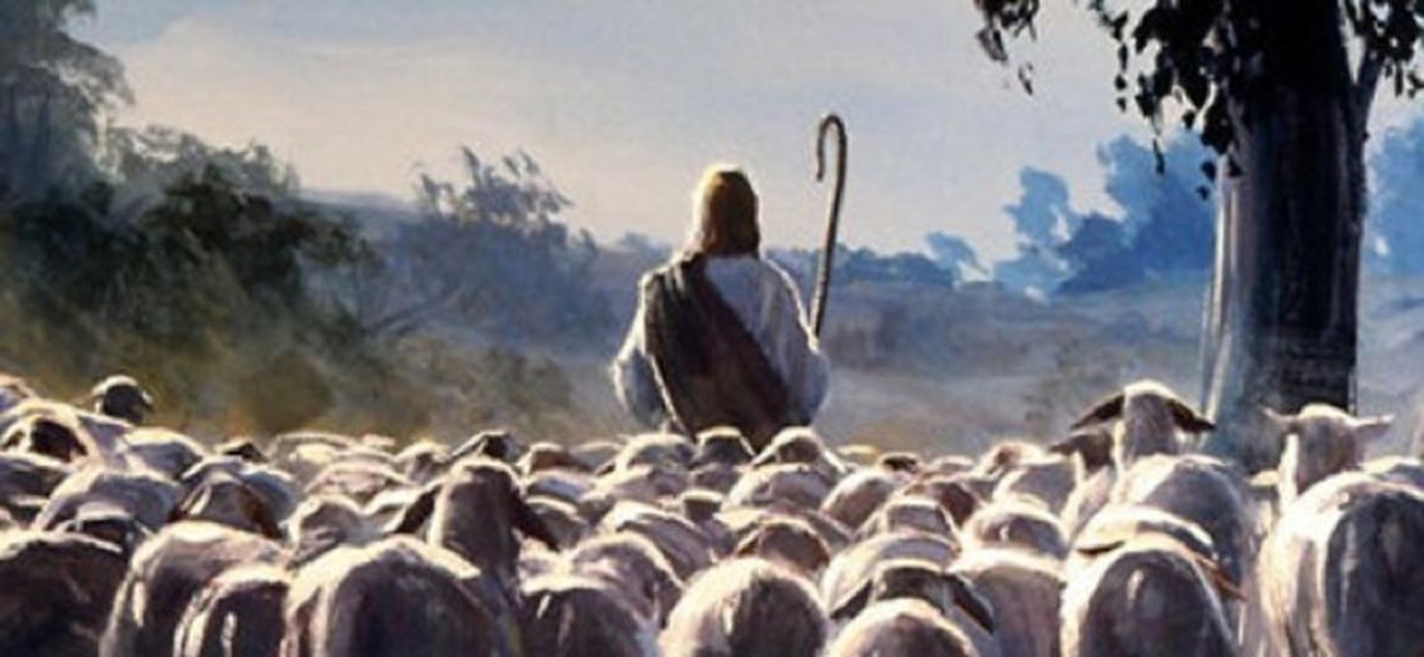 El pastor conoce a sus ovejas y éstas conocen su voz, hasta entonces solo es el cura nuevo