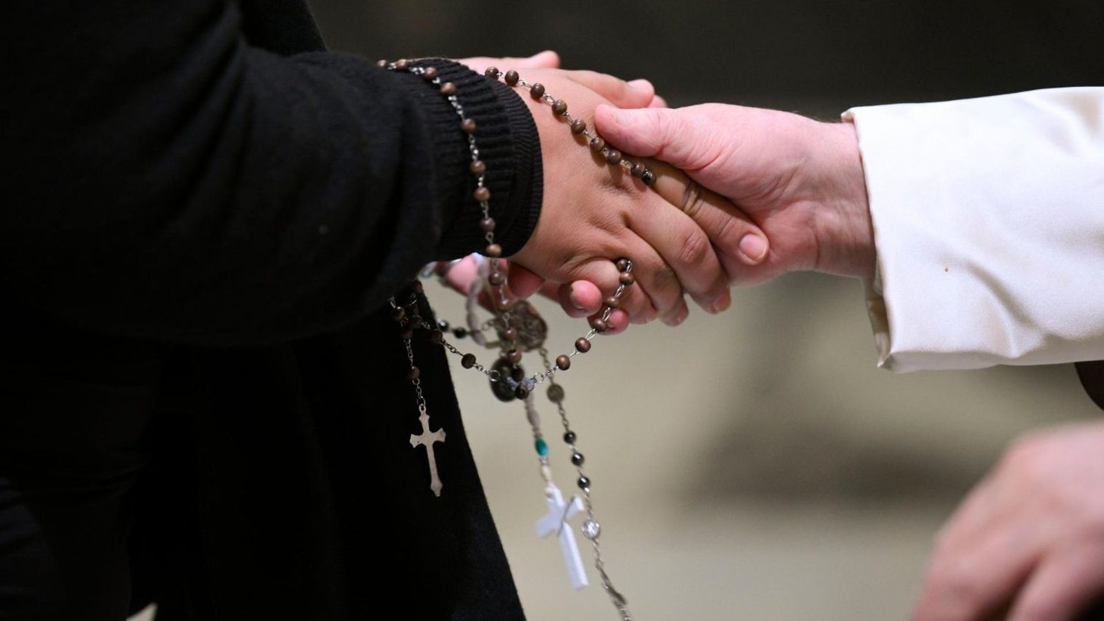 Un momento de la audiencia a los miembros de ESNE