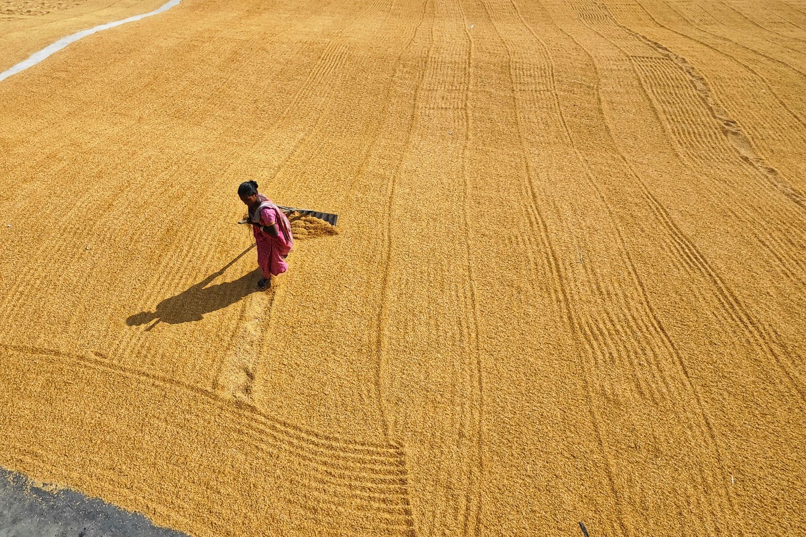 Una mujer trabajando en el campo