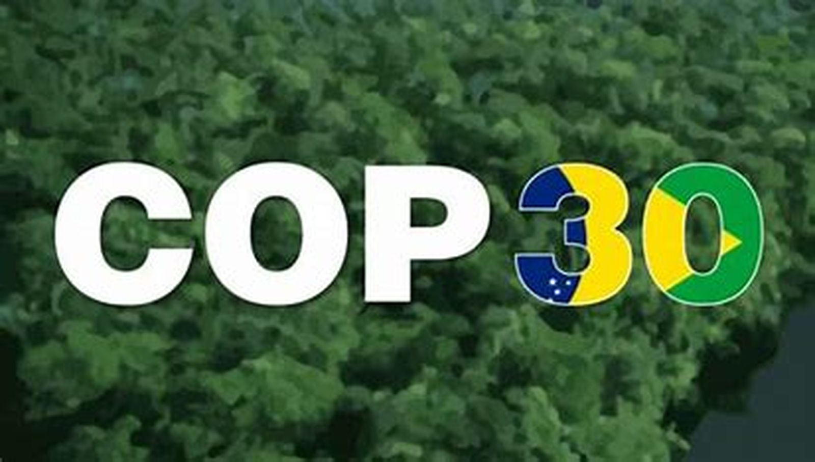COP 30