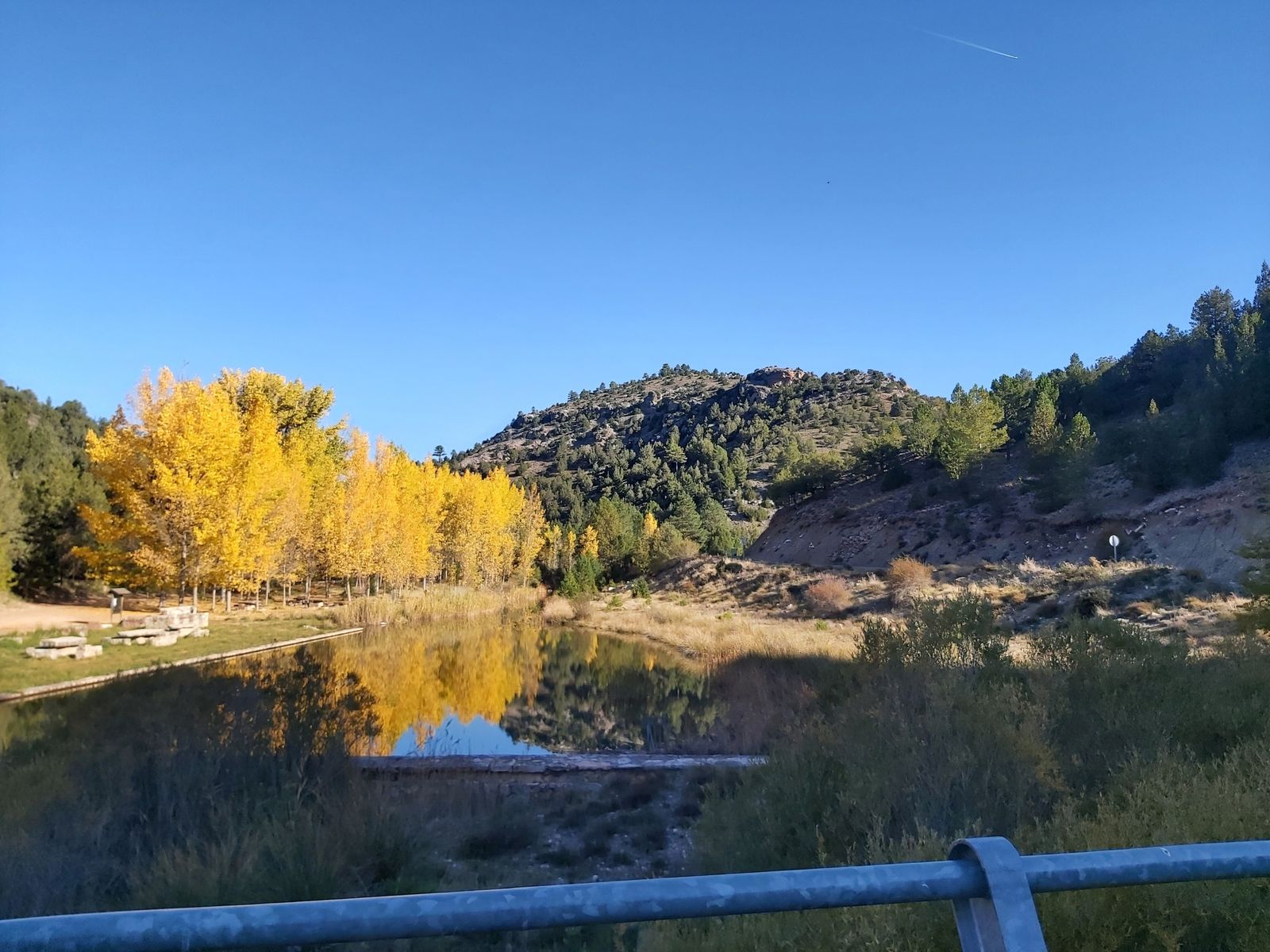 5 de noviembre: Año de oración