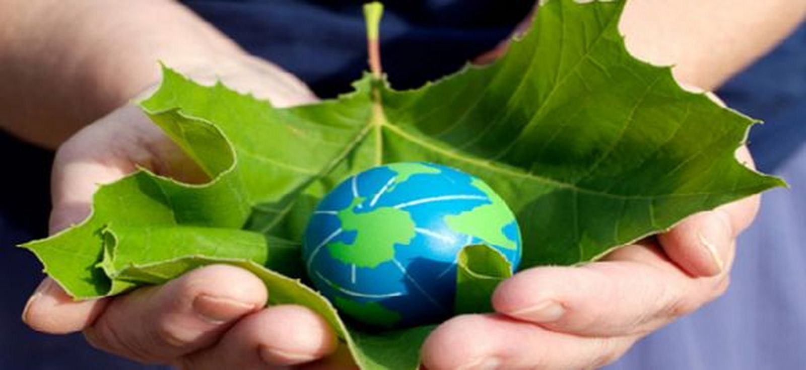 Cuidado de la Casa Común