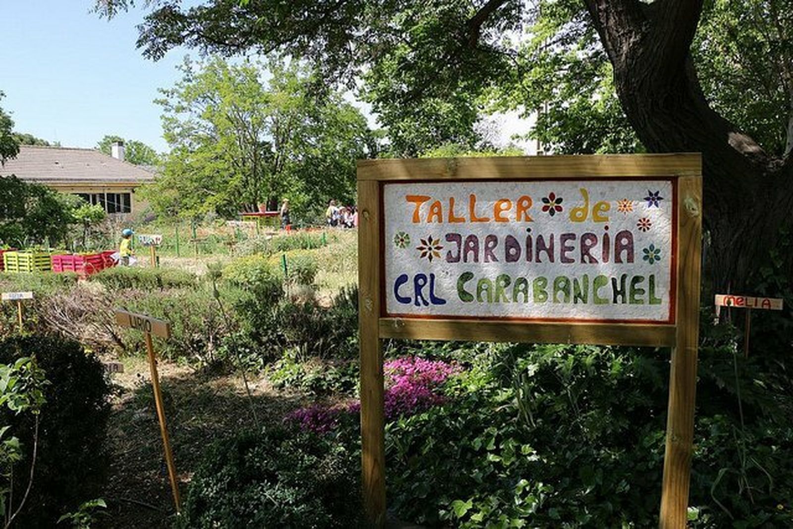 20 años de la Fundación El Buen Samaritano