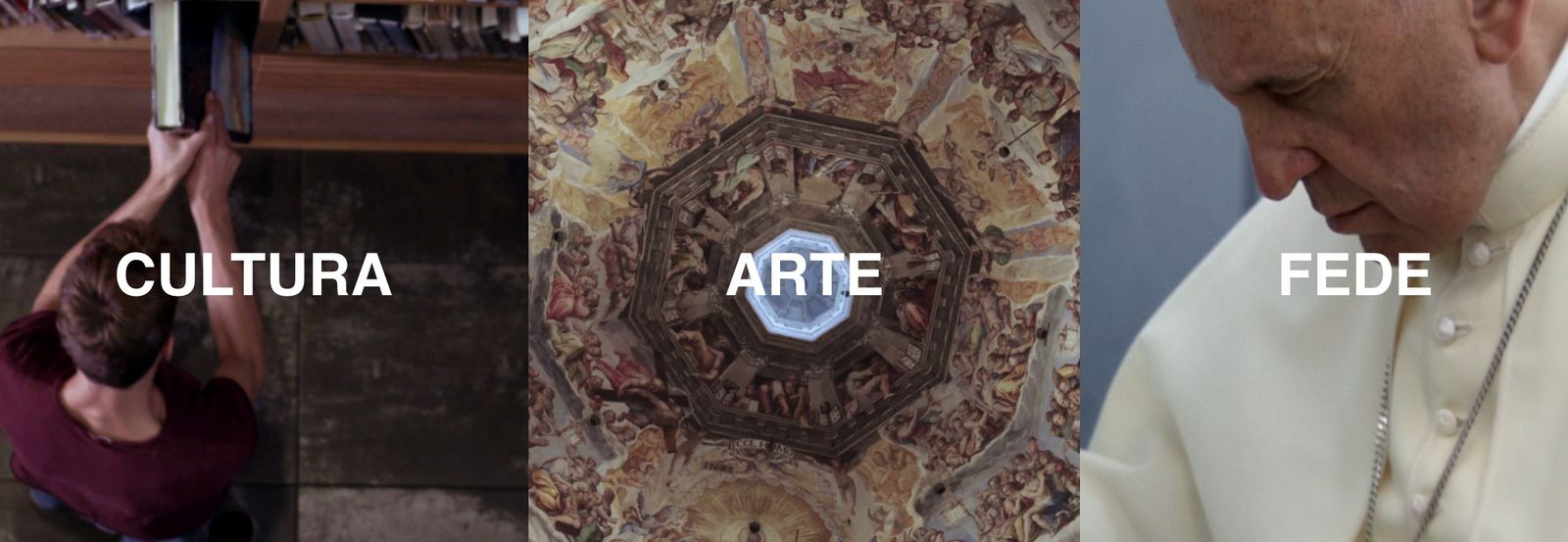 Pagina web de VatiVision