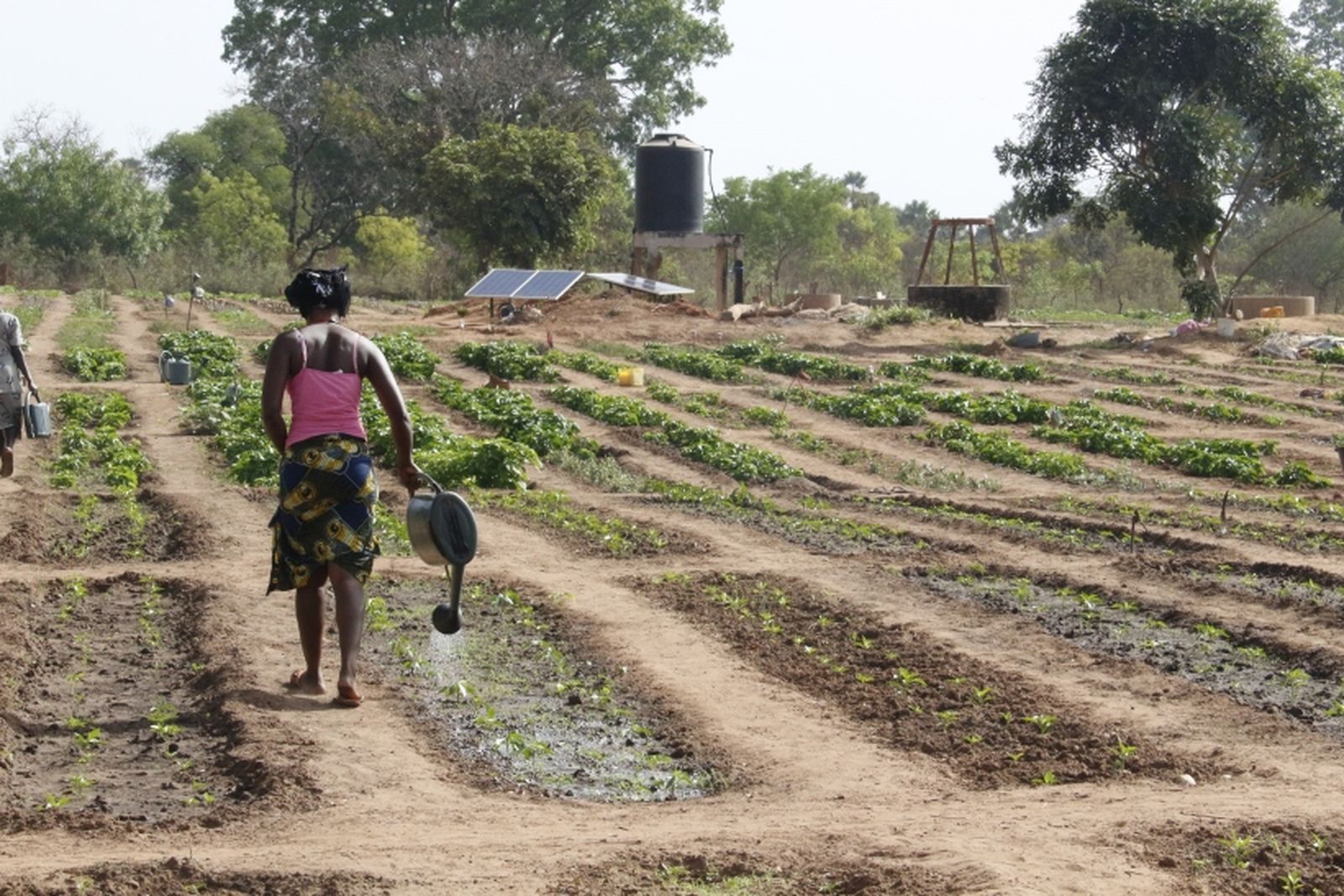 Manos Unidas en Senegal