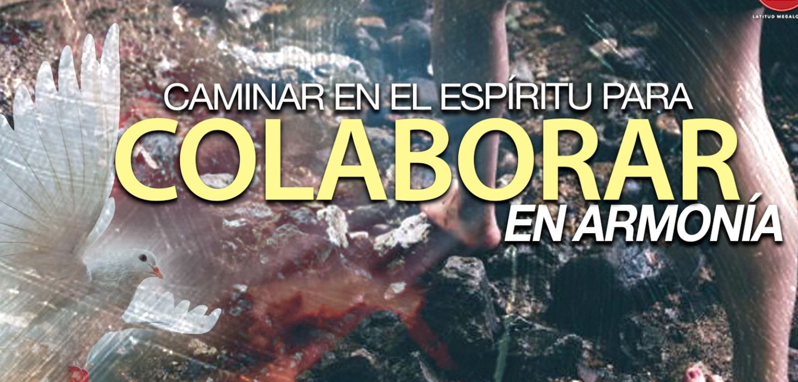 Caminar en el Espíritu para Colaborar en Armonía