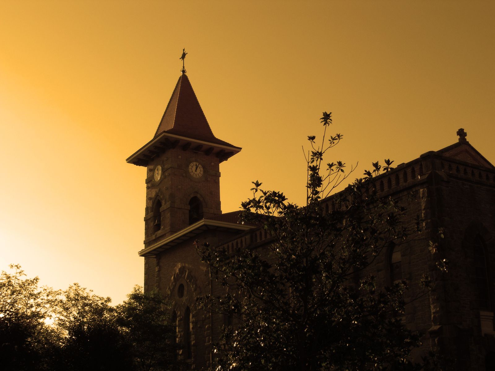 Día del Seminario en las Diócesis Vascas. El relevo de un clero vasco por un clero universal.