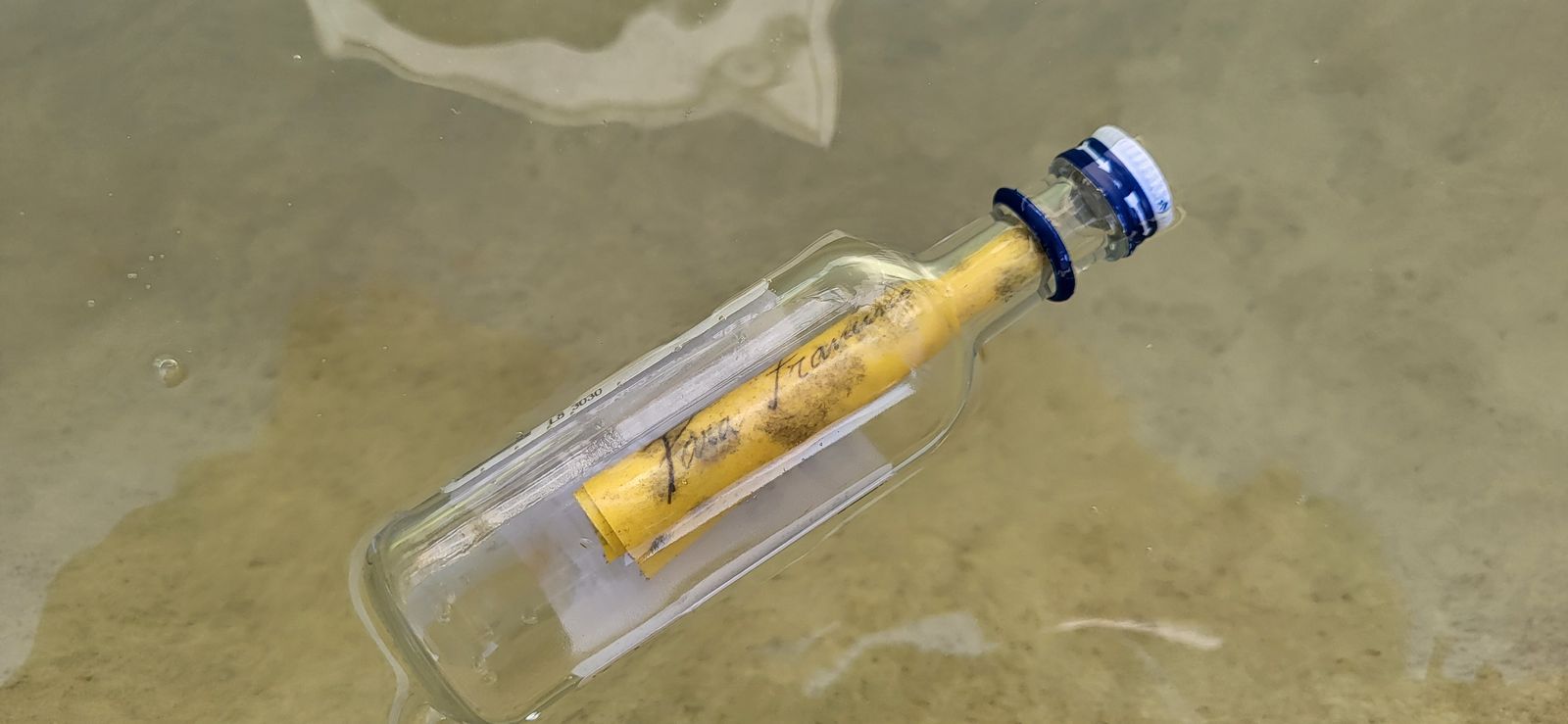 Padre Francisco, ¿el Pan de la Eucaristía tiene que ser necesariamente de harina de trigo? ¿Y la Sangre el vino fruto de la vid?