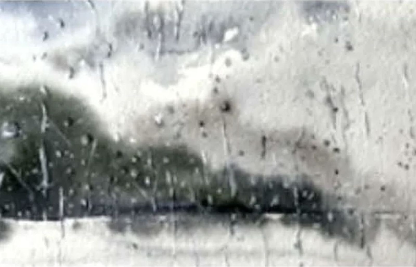 Ilustración de la portada del libro