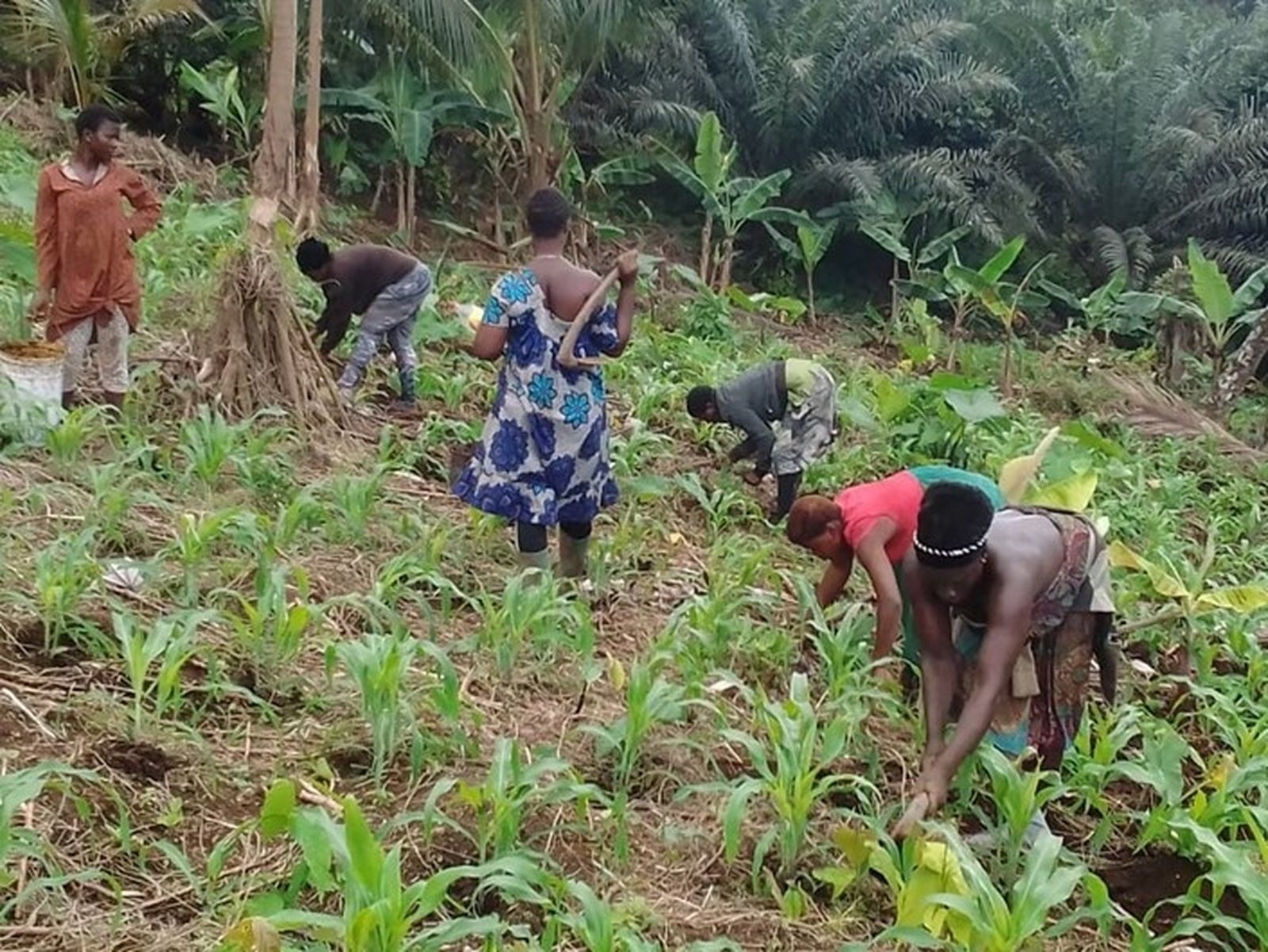 Manos Unidas: "Ayudamos a mujeres desplazadas en Camerún"