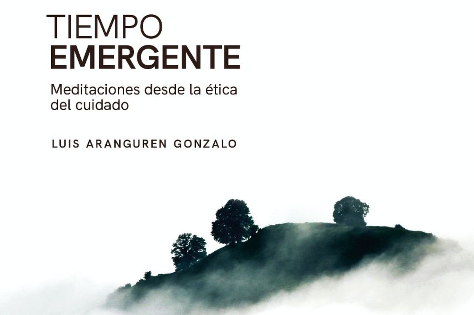 'Tiempo emergente', de Luis Aranguren Gonzalo