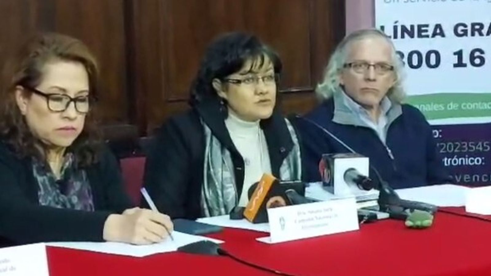 Susana Inch, coordinadora de la Comisión Nacional de Investigación
