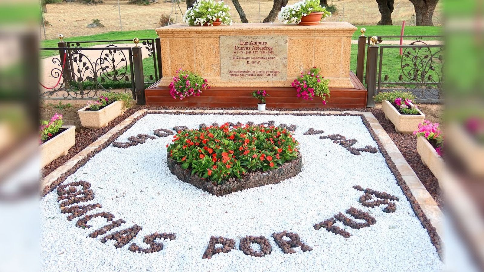 Luz Amparo Cuevas. La llamada