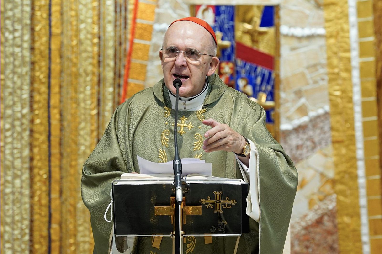 Cardenal Carlos Osoro