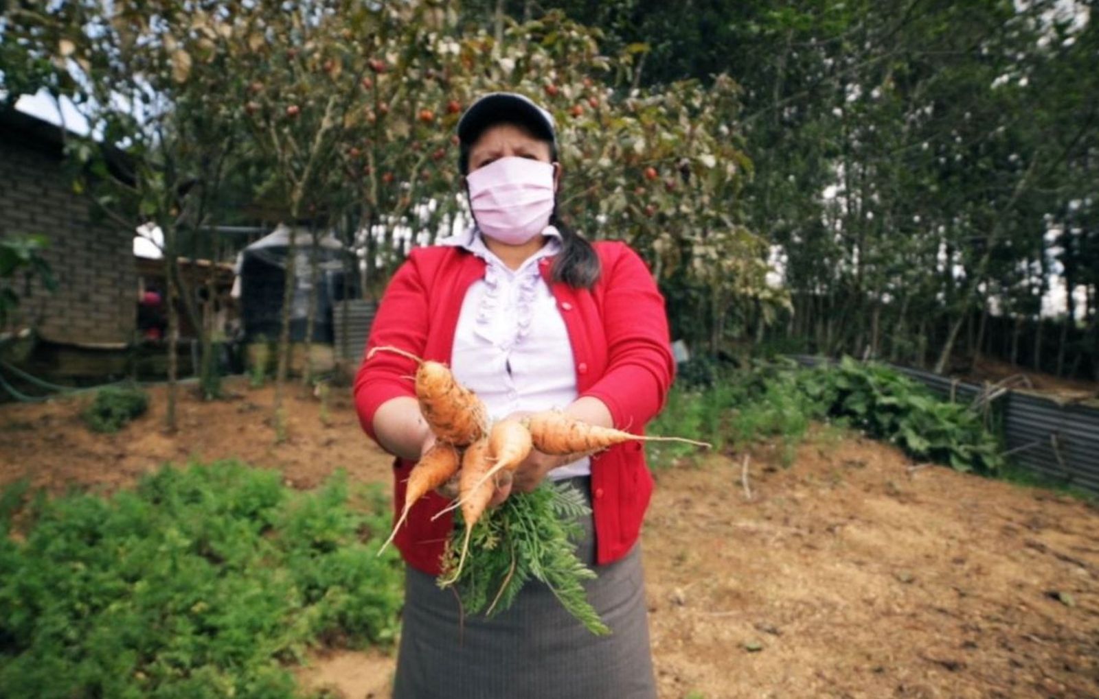 Manos Unidas: agricultura y empoderamiento