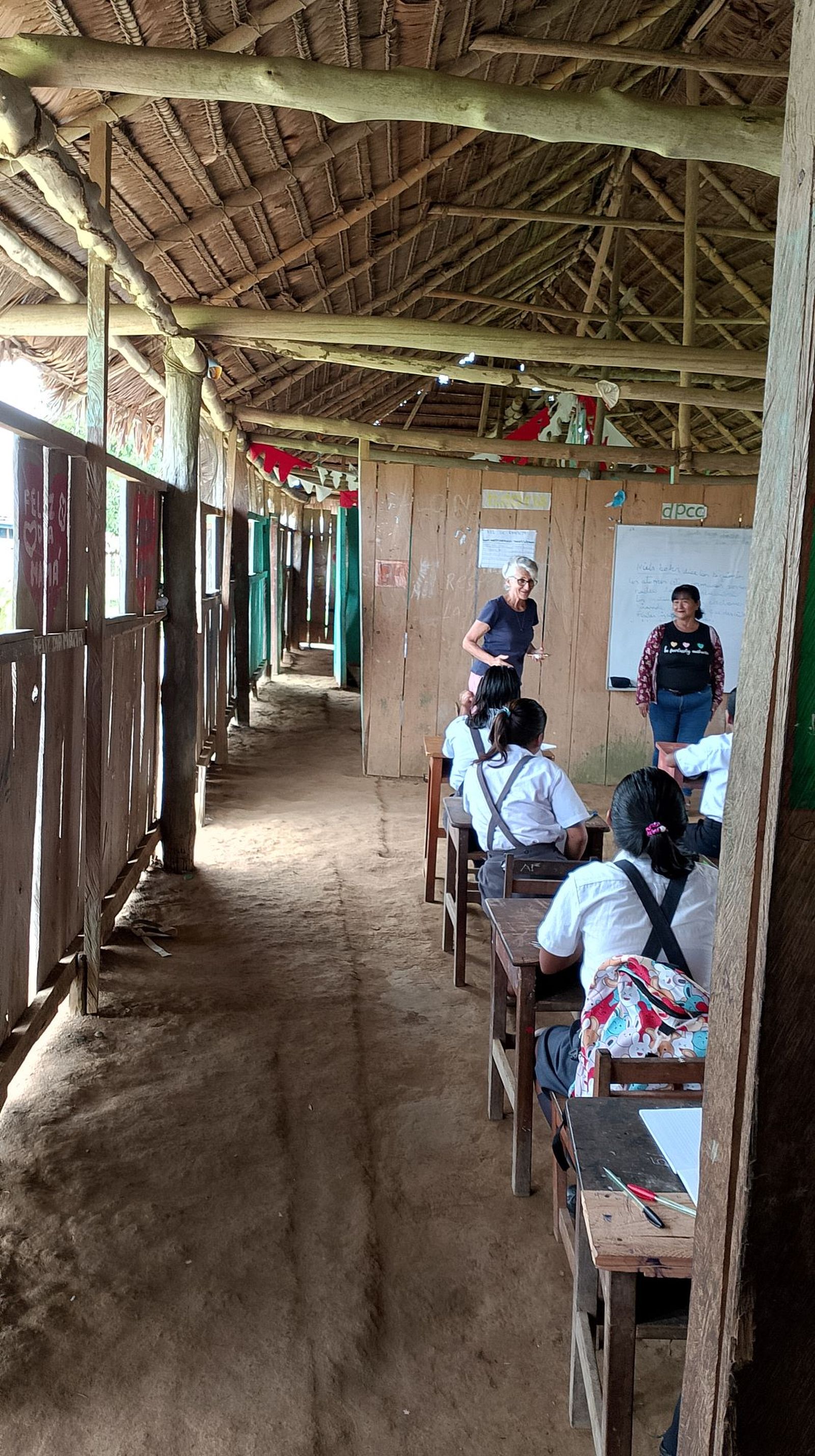 Colegio San Carlos 2