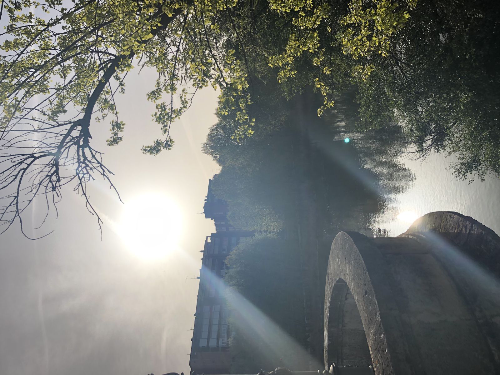 Desvaríos sobre Dios y la libertad ( Píldora pascual)